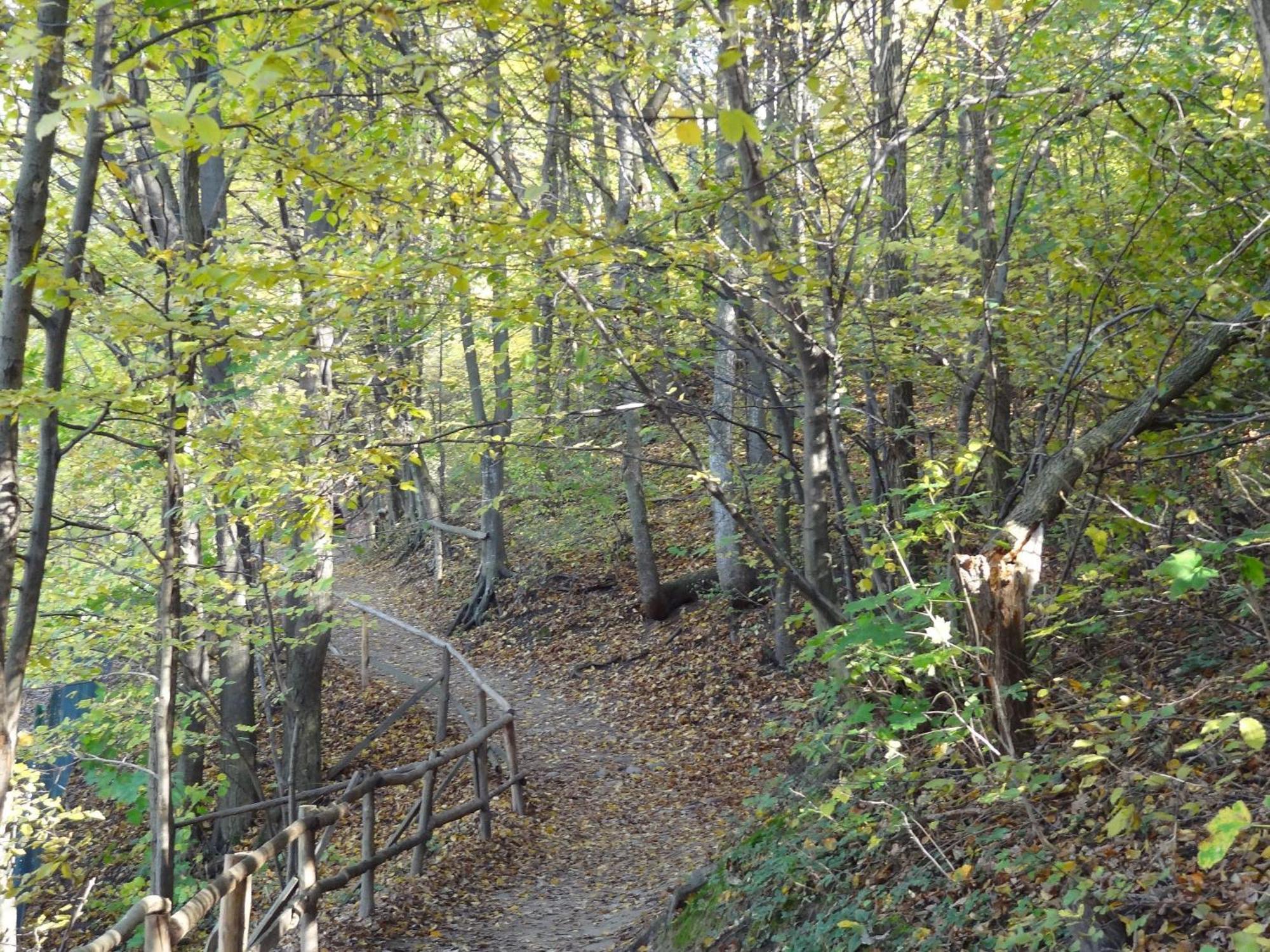 Pensjonat Pod Wietrzna Gora Kazimierz Dolny Exteriör bild